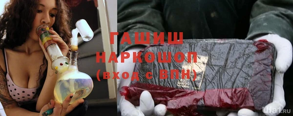 гидра Богородицк