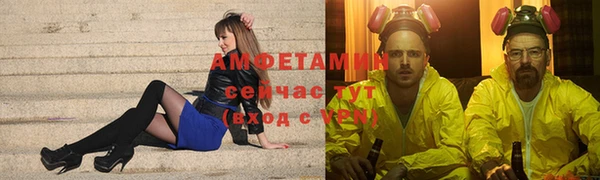 гидра Богородицк