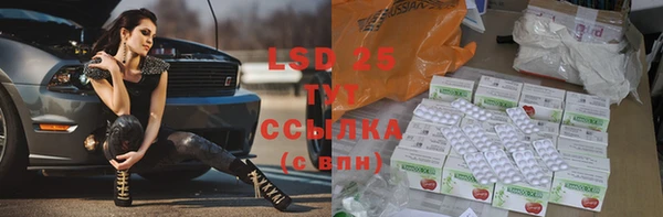 гидра Богородицк