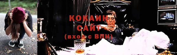 гидра Богородицк