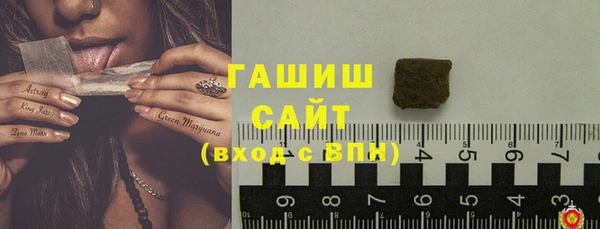 гидра Богородицк