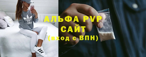 гидра Богородицк