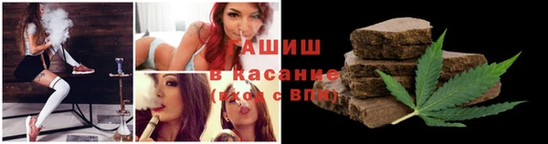 гидра Богородицк