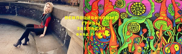гидра Богородицк