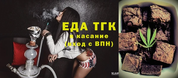 гидра Богородицк