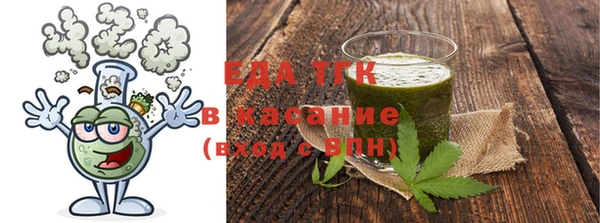 гидра Богородицк