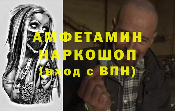 гидра Богородицк