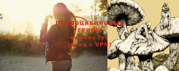 гидра Богородицк
