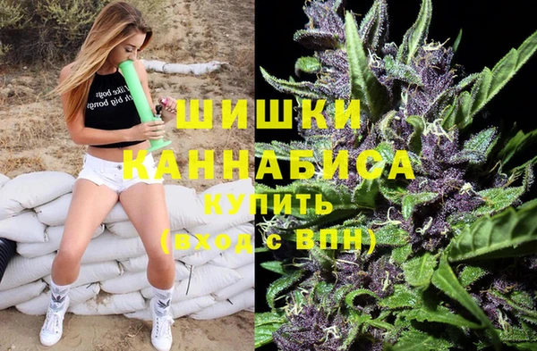 гидра Богородицк