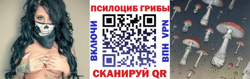 Купить Данков Псилоцибиновые грибы Cubensis